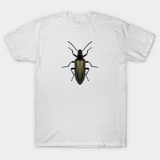 Darkling Beetle T-Shirt